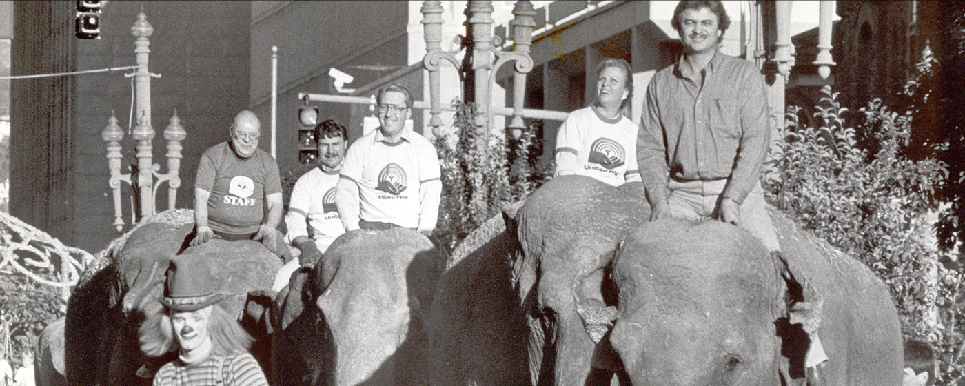 About elephants 2