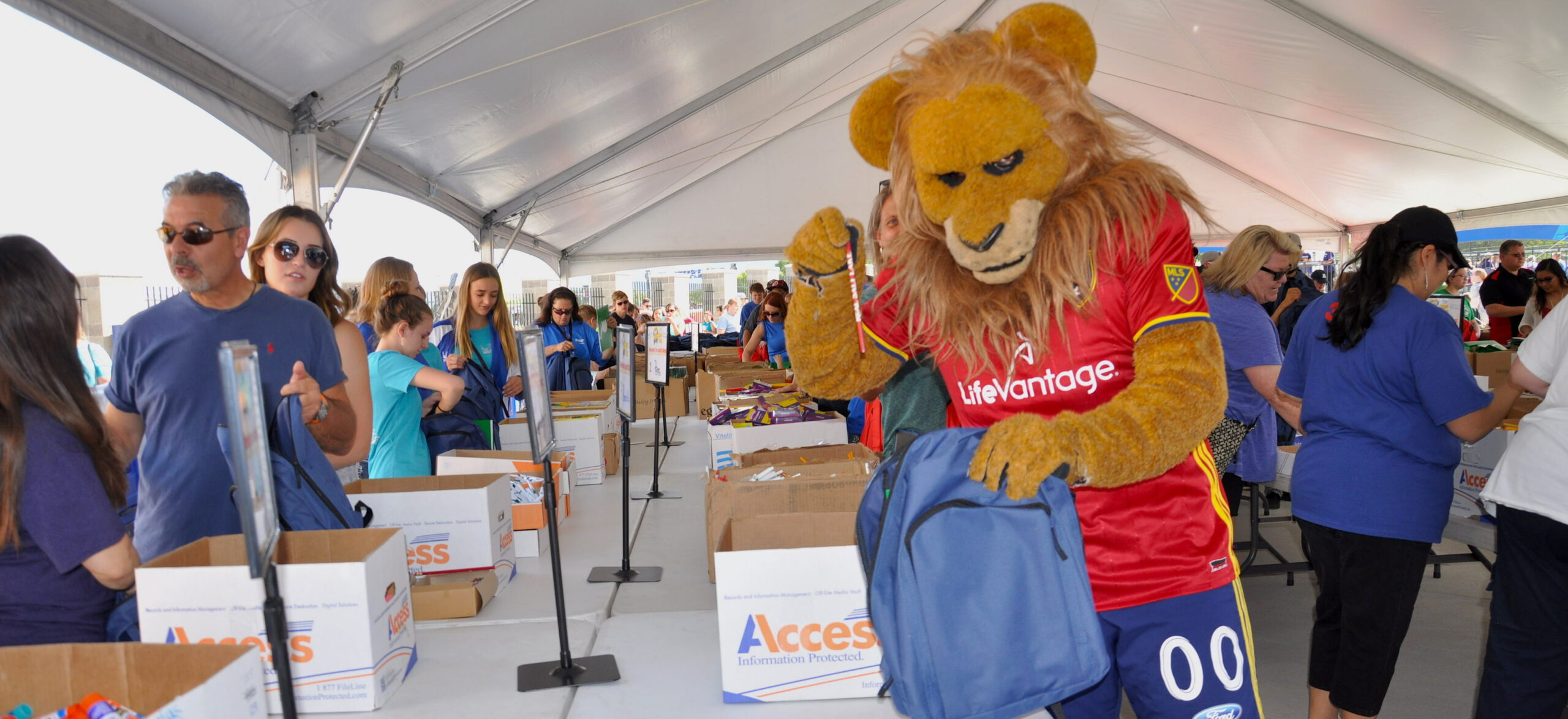 Stuff the bus 17