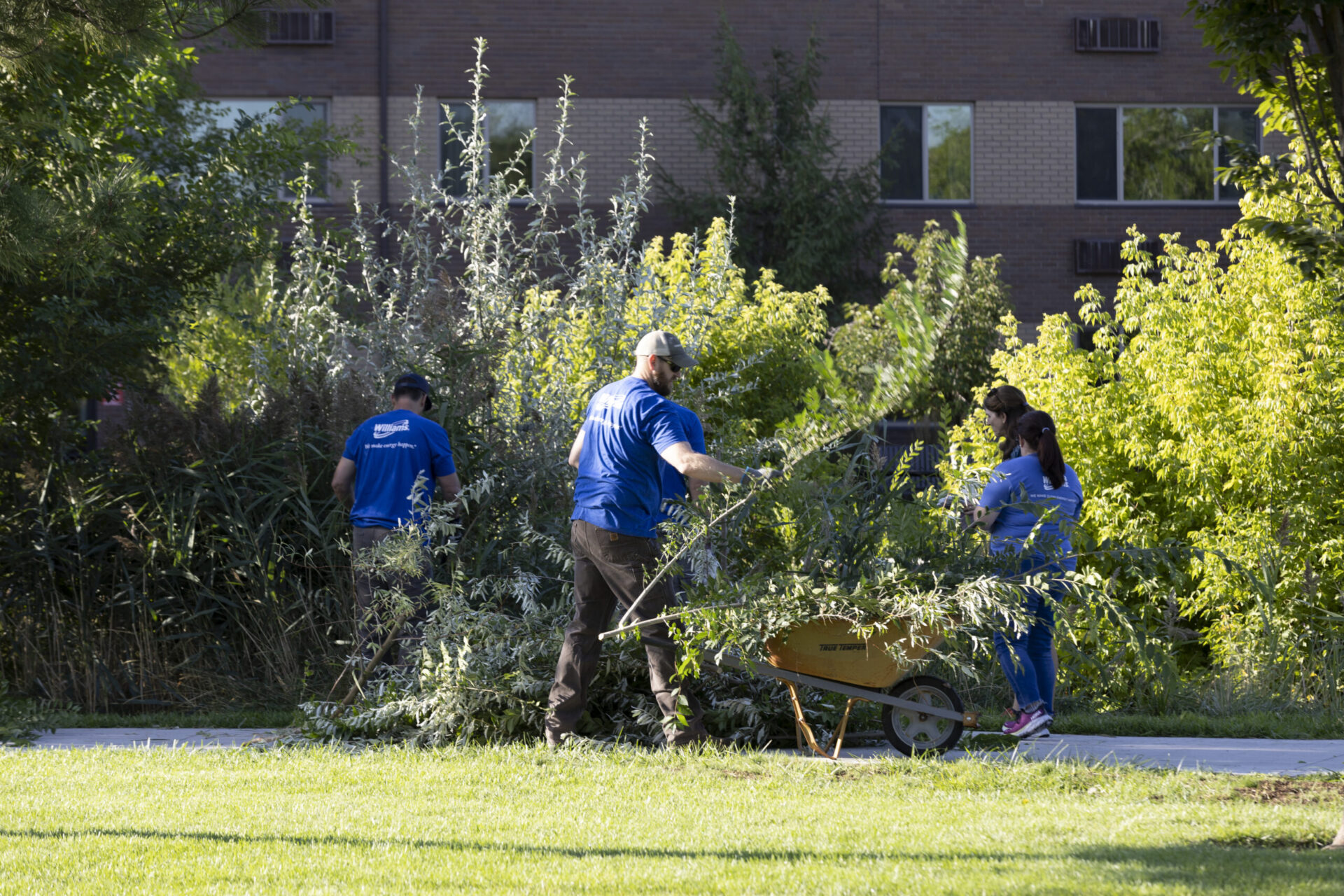 Doc2023 williams fitz 121 scaled[1]