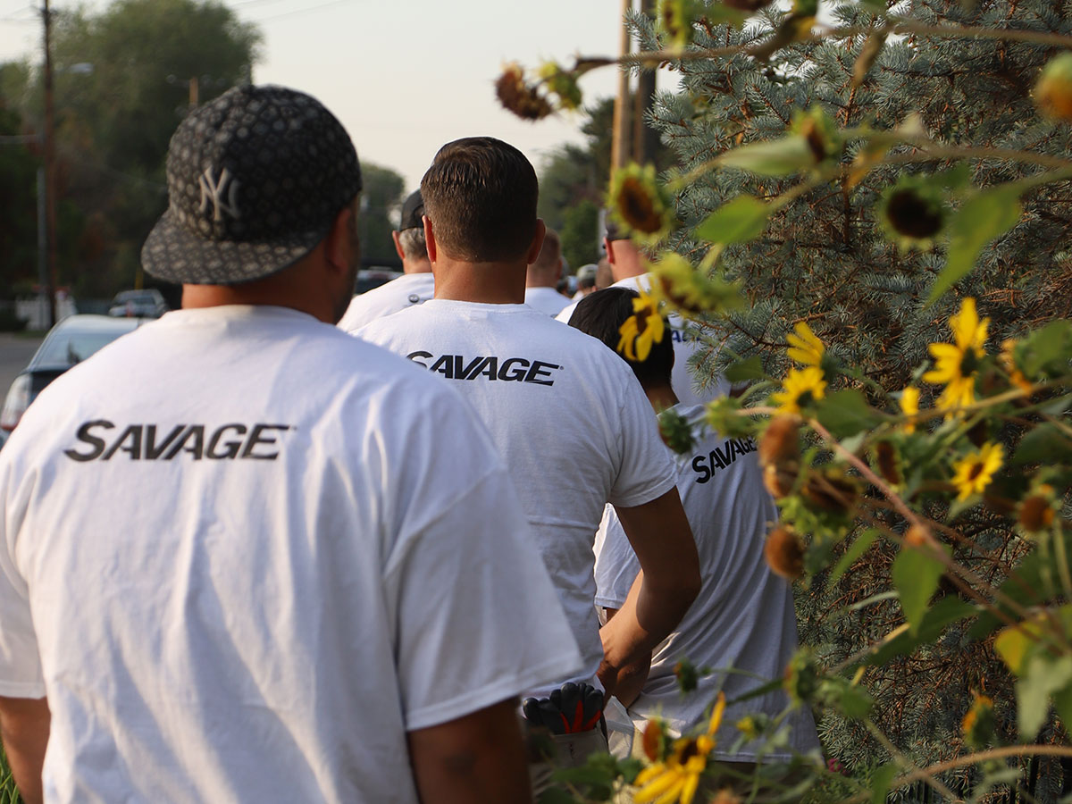 Savage volunteers walk by sunflowers