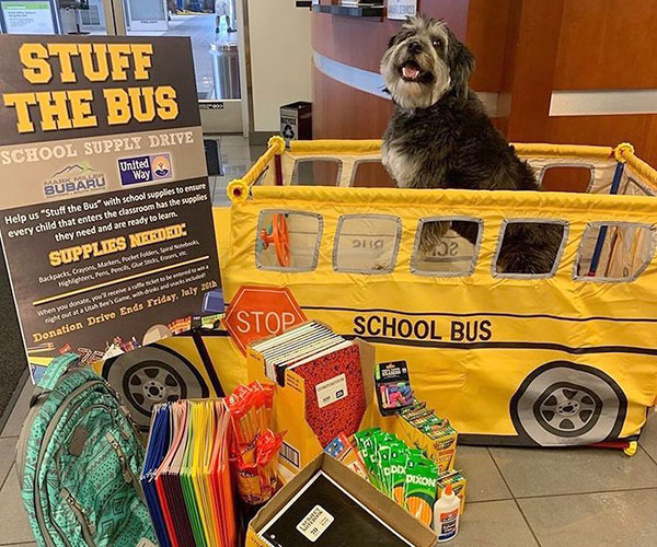 Stuff The Bus Supply Drive Dog