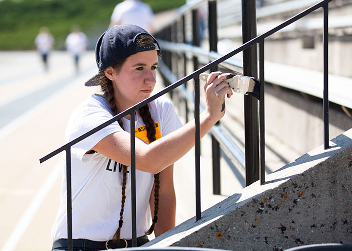 Volunteer Partnerships - Day of Caring